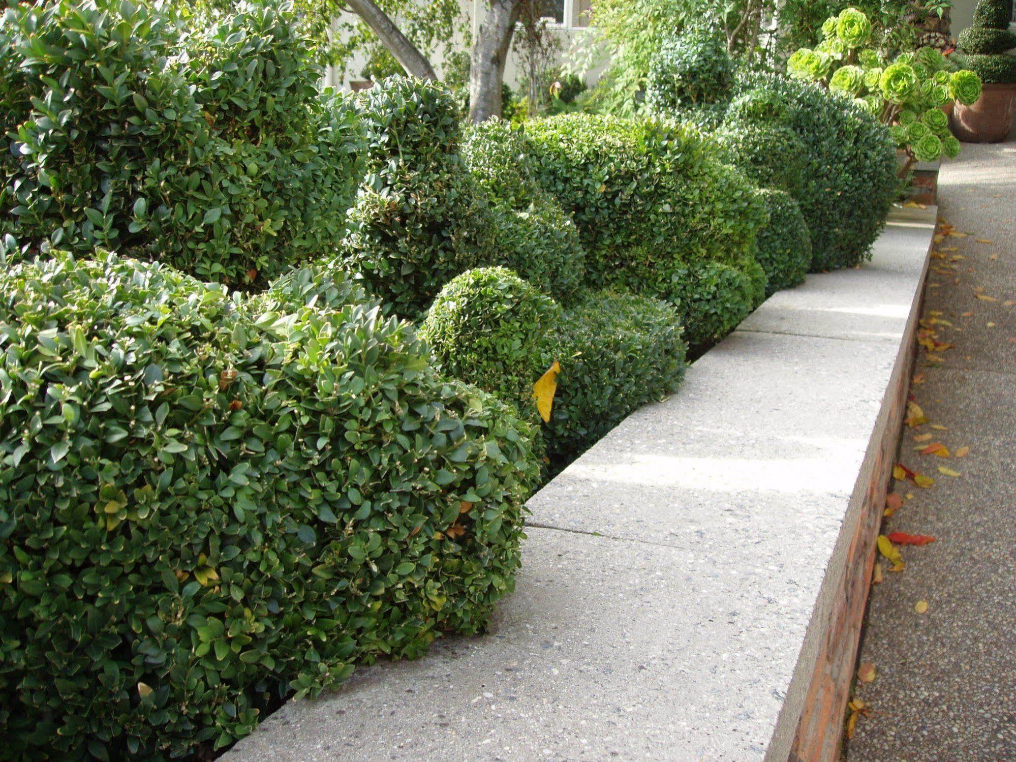 Topiary Haven Launceston Bagian luar foto